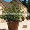 Decorative Corten Steel Planter Wholesale / Corten Steel Siding