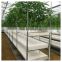 High quality cheap price agricultural plastic film small tunnel mushroom tomato greenhouse supplies all parts for sale