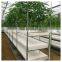 High quality cheap price agriculture greenhouse hydroponics with plastic film