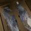 JUKI SMT Mounter feeder / feeder / feeding gun / Feeder / Stick Feeder / Stack Stick