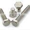 AISI 304 ASTM 316 A2 A4 Stainless Steel heavy hex bolt nut