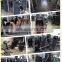 LZX-1050 Beauty Dumbbell Rack/Commercial Fitness/Gym Equipment