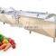 potato chips fruit blanching machine vegetable french fry blanching machine