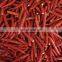2022 A Grade New Crop IQF Frozen  Red Chilli with Competitive Price