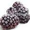 BRC-A Certified Factory IQF Frozen Blackberry