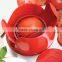 KH Amazon Hot Seller tomato cube cutting machine