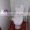  china mobile portable toilet for public park wholesale movable toilet cheap mobile toilet supplier QX-142H