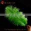 Cheap dyed 30-35cm ostrich feathers for sale