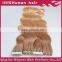 High quality 100% Brazilian remy blue/white tape hair extension