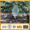 china non-woven agriculture cover