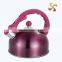 2.5L stainless steel bells kettle with colorful body and handle