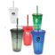 Insulated plastic 16 oz plastic tumbler with straw and pvc card