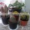 red clay cone shape garden miniature plastic flower plant pots