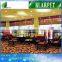  china most popular wilton red carpet