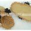 PLUSH INDOOR SLIPPER/ CHENILLE MATERIAL PLSUH SLIPPER