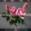 pink decoration flowers single roses