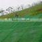 Ecological Plastic 3D Geomat for Slope