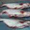 Frozen White Pangasius Fish Fillet