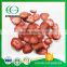 New Season All Kinds Iqf Frozen Dried Strawberry