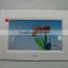 7 Inch TFT LCD Panel For Advertisement