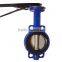 butterfly valve dn200 with water