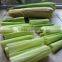 Advanced Technology Spiral Screw Corn Leaves Juice Making Machine Wholesale