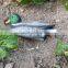 Plastic Floating Mandarin Duck of Hunting Decoy