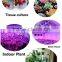 led grow light HOT SALE grow led lights 2016 with XQD