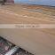 Natural wood grain yellow sandstone tile