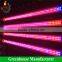 Hot sale led Led light for greenhouse