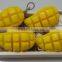 Fruit Shape Soap Size 100 -120 g
