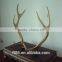 Antlers Stag Horn Wholesaler Imitation Deer Artificial Animals Antlers