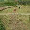 high efficiency manual rice rice harvester