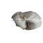 automatic pizza dough sheeter/dough pressing machine/dough sheeter price