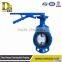 China High Quality Pneumatic Butterfly Valves Ductile Iron Valve Body Express Dq200