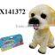 BB sound dog squeaky toy, squeaky dog toy