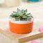 Attractive indoor decor mini bright color ceramic planter