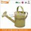 colored garden metal watering can for plant with hand