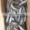 NEW FISH FROZEN SARDINE SEAFOOD FOR SALE