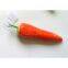 Artificial  carrot,Artificial vegetable