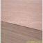 BB/BB  Bintangor  Plywood