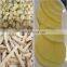 FC-301 Multifunctional Root Leafy Vegetable Slice Shred Dice Cutting Machine