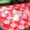 Competitive Pre-painted Galvanized Steel Coil in RAL Color/PPGI