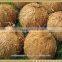 Coconut from 500gms to 600gm