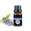 manufacturer supply carrier oil borage oil pure natural base oil borage seed oil with best price