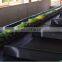 Fruit and vegetable Cleaning, Waxing, Drying and Grading Production Line