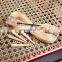Top quality Woven Bleached Webbing Cane Rattan Wide Half Bleached Rattan Cane Webbing Raw Materials from VietNam