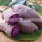 100% PURE HIGH QUALITY  FROM SWEET POTATO FLOUR MADE IN VIET NAM