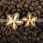 100% organic sacha inchi wholesale/Supply SACHA INCHI from VIETNAM with good price