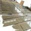 high quality Giallo Nova Venecl granite yellow granite